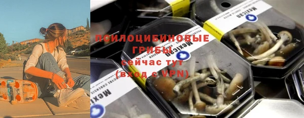 индика Алексеевка