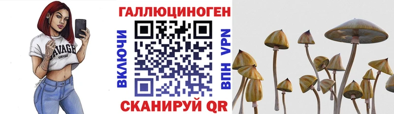 купить наркотик нарко площадка клад Псилоцибиновые грибы мицелий Феодосия